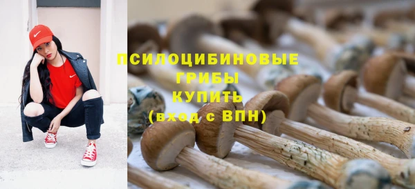 прущая мука Вязьма