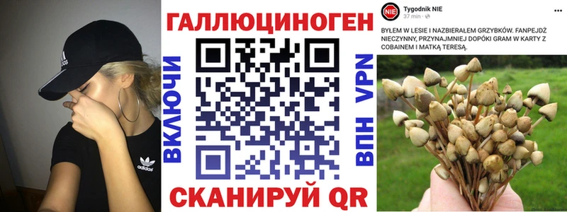 Галлюциногенные грибы Psilocybine cubensis  купить наркотики цена  Джанкой 