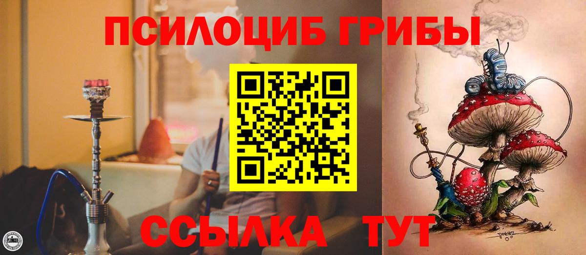 Псилоцибиновые грибы Psilocybine cubensis  Галлюциногенные грибы мухоморы  Джанкой 